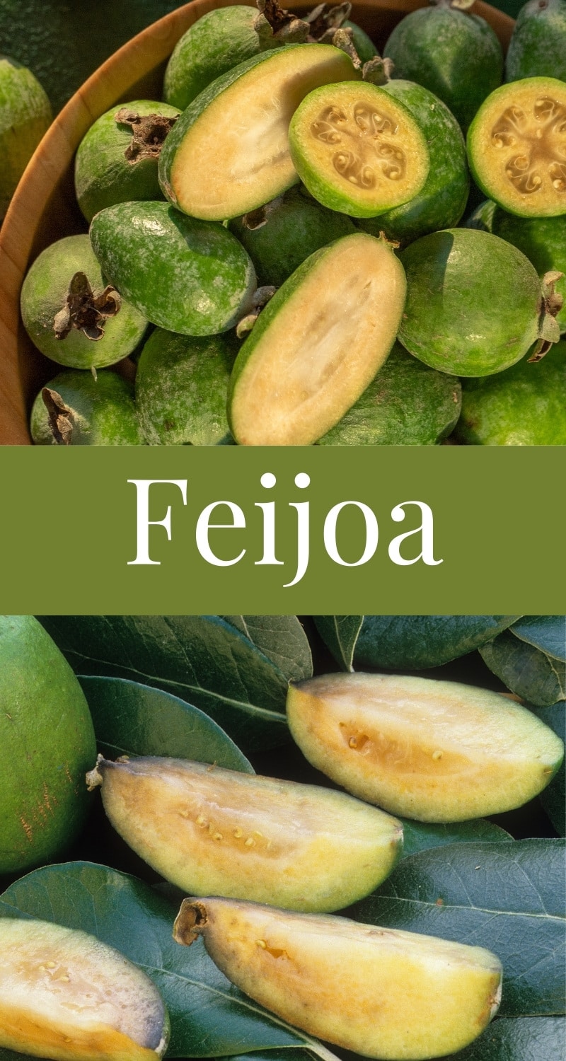 Kaksi kuvaa feijoasta , kokonaisena vihreänä hedelmänä ja halkaistuna jotta koostumus näkyy.